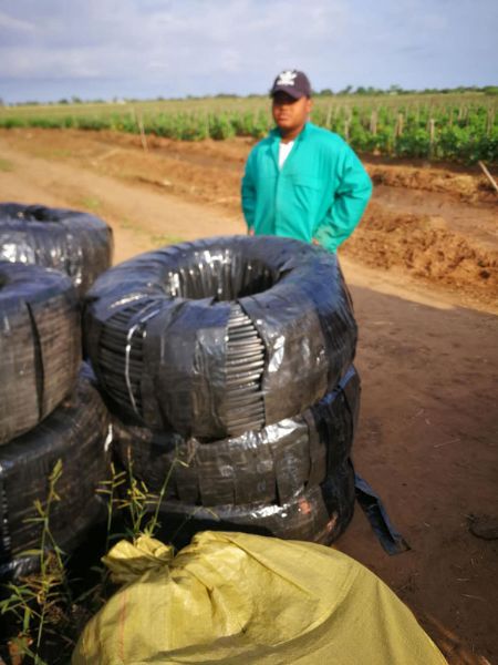 產(chǎn)品熱銷(xiāo)海內(nèi)外，質(zhì)量放心客戶(hù)滿(mǎn)意